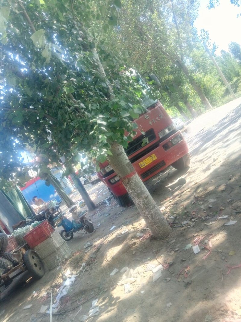 种植基地直发，泊头鸭梨皇冠梨正宗产地，欢迎老板合做谢～。