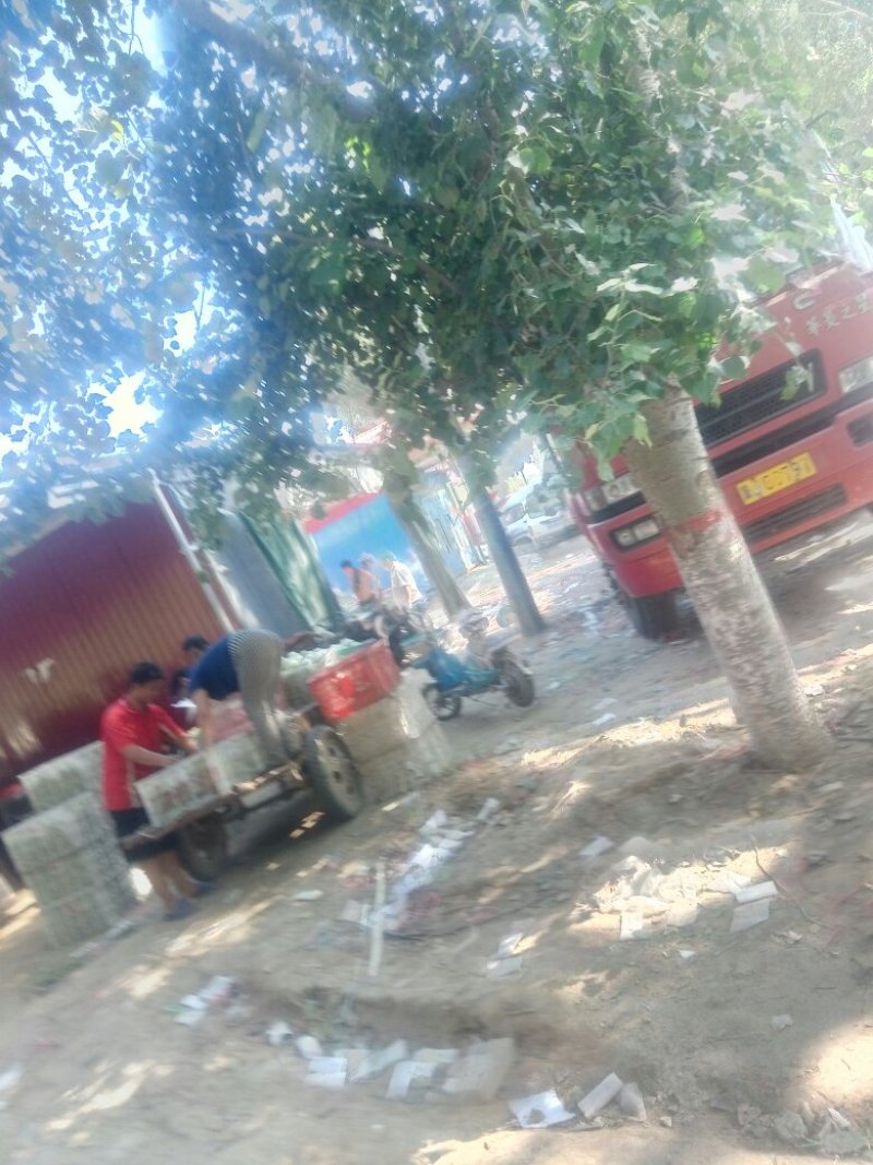 种植基地直发，泊头鸭梨皇冠梨正宗产地，欢迎老板合做谢～。