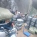 种植基地直发，泊头鸭梨皇冠梨正宗产地，欢迎老板合做谢～。