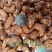 茂叶A320带皮腰果紫衣腰果10kg/桶2桶/箱