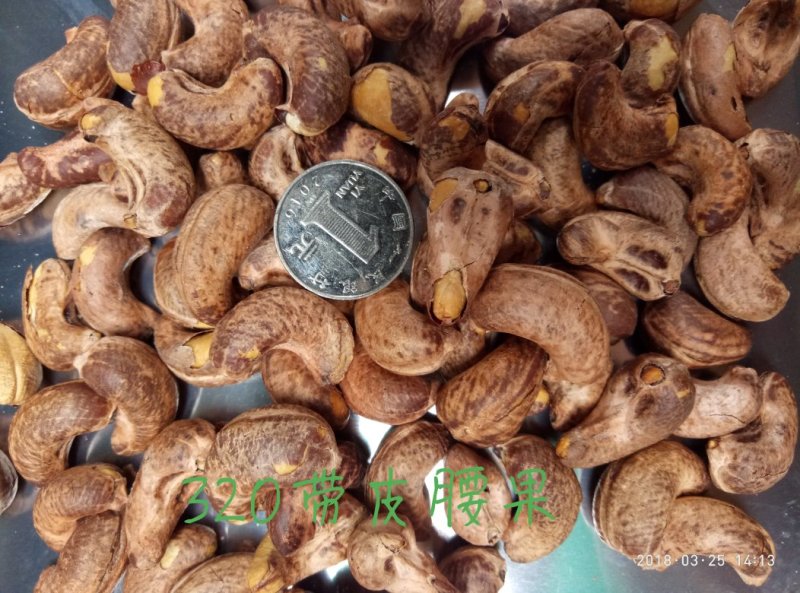 茂叶A320带皮腰果紫衣腰果10kg/桶2桶/箱