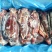 驴肉请选购优质驴肉马肉板肠下水