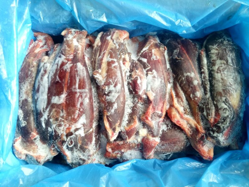 驴肉请选购优质驴肉马肉板肠下水