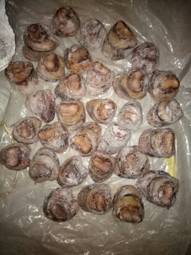 驴肉请选购优质驴肉马肉板肠下水