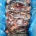驴肉请选购优质驴肉马肉板肠下水