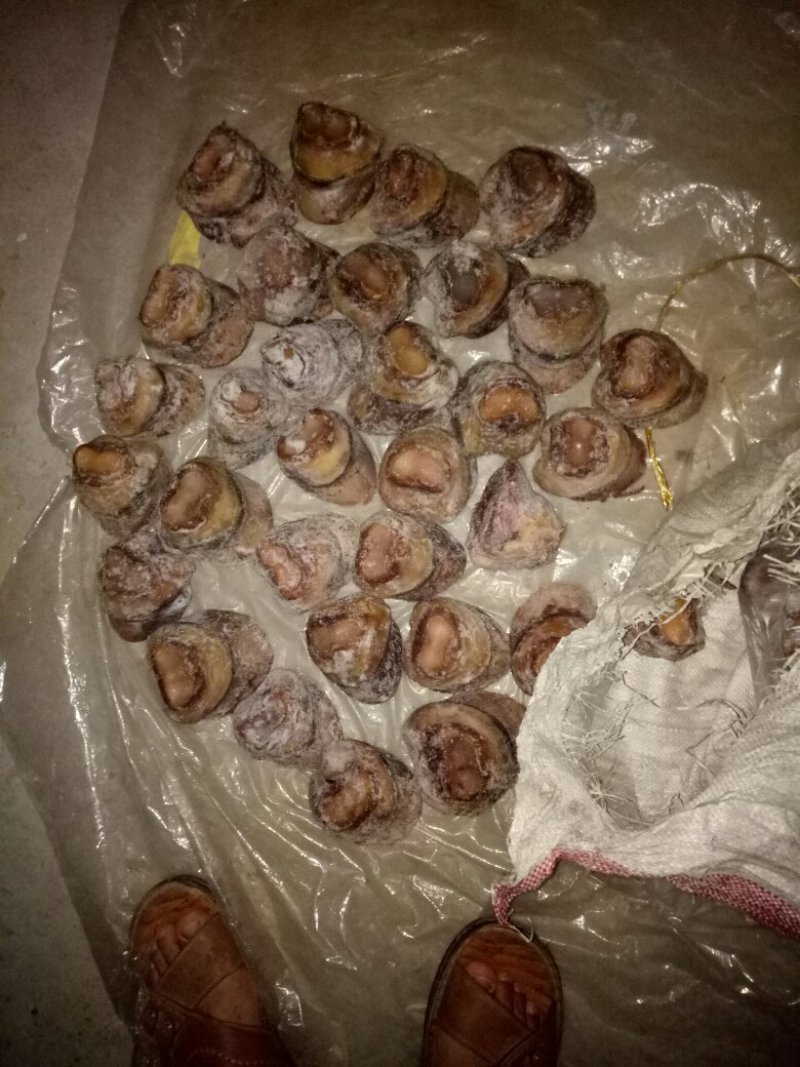 驴肉请选购优质驴肉马肉板肠下水