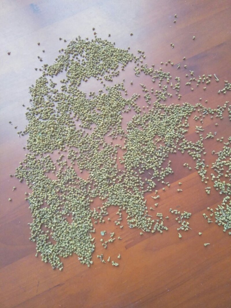吴茱萸小花