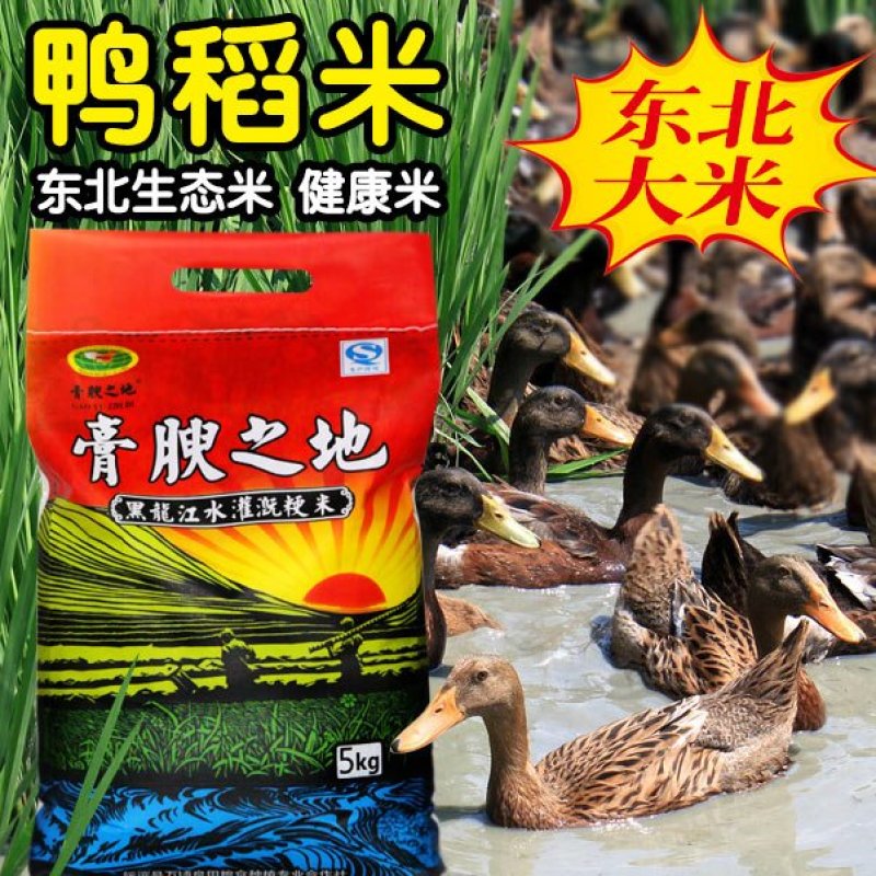 东北黑龙江地产有机大米批发招代理