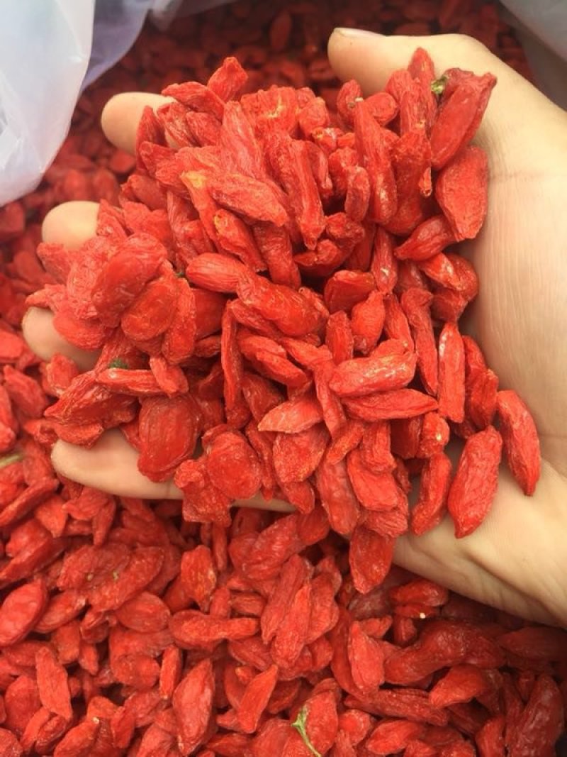 一级，红枸杞