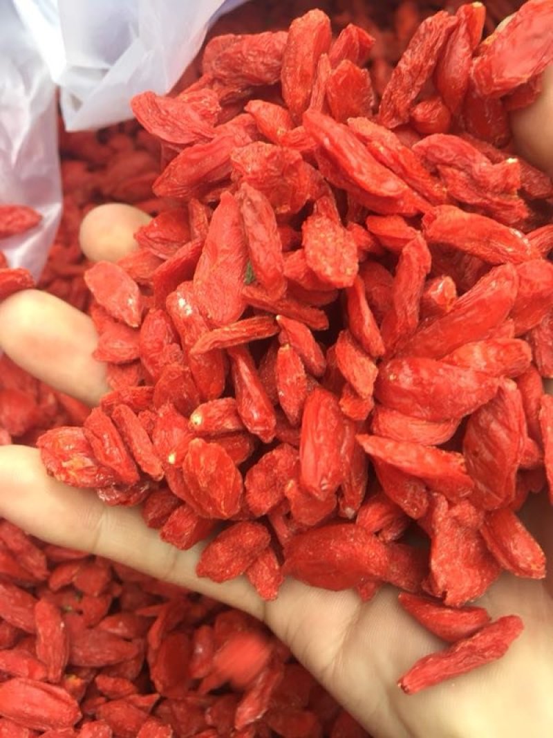 一级，红枸杞