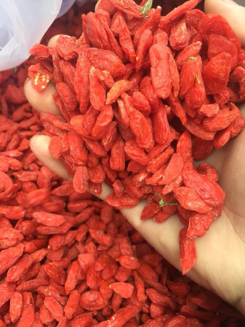 一级，红枸杞