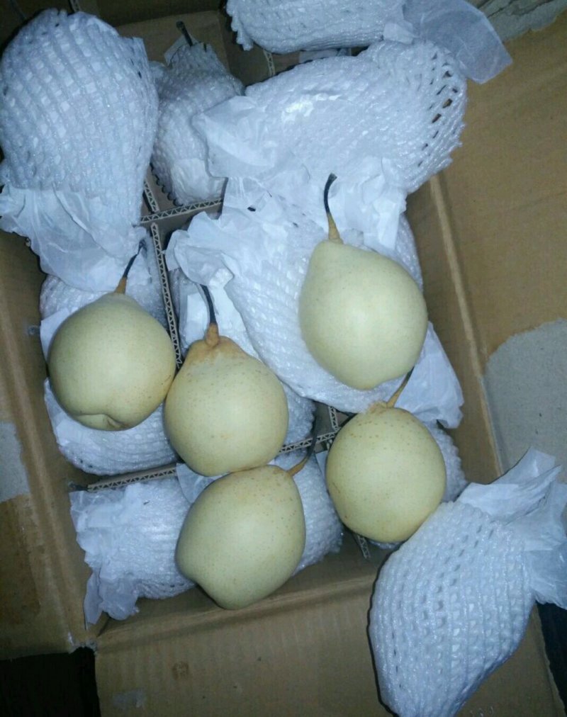 泊头鸭梨纸袋膜袋