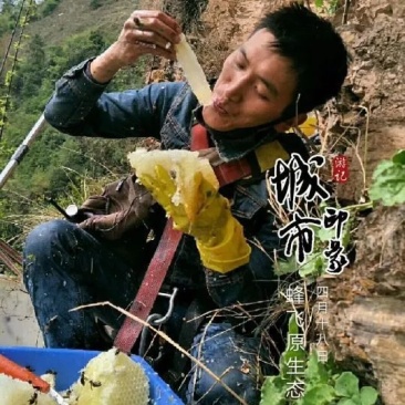 野生原生态好蜜保证质量