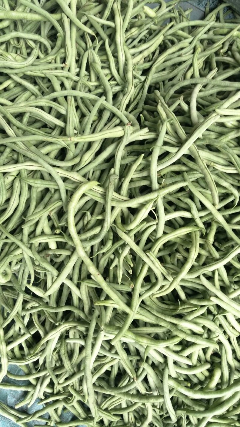 豆王