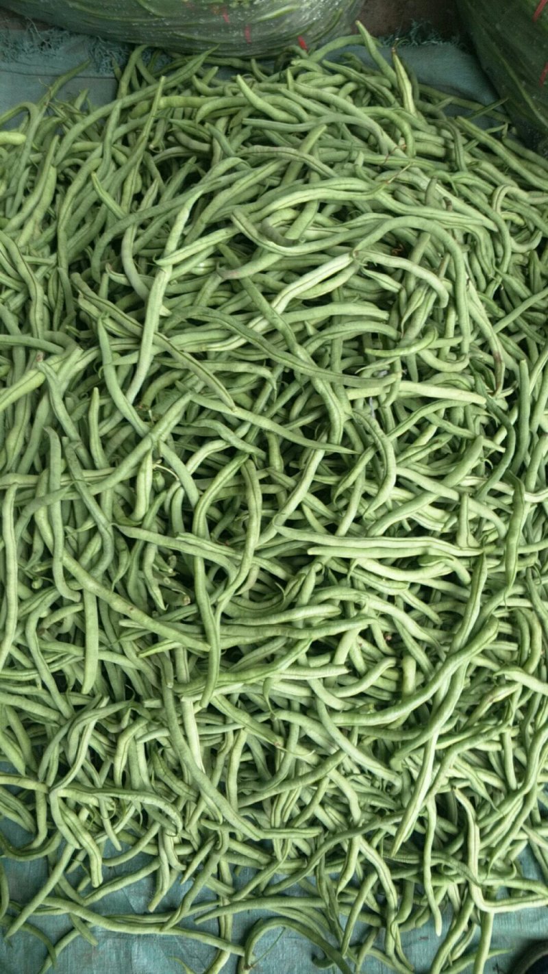 豆王