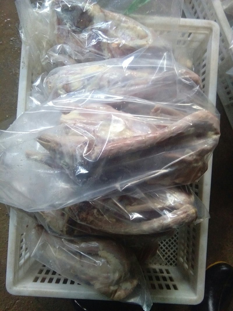 自填自养精选朗德鹅去皮鹅肉