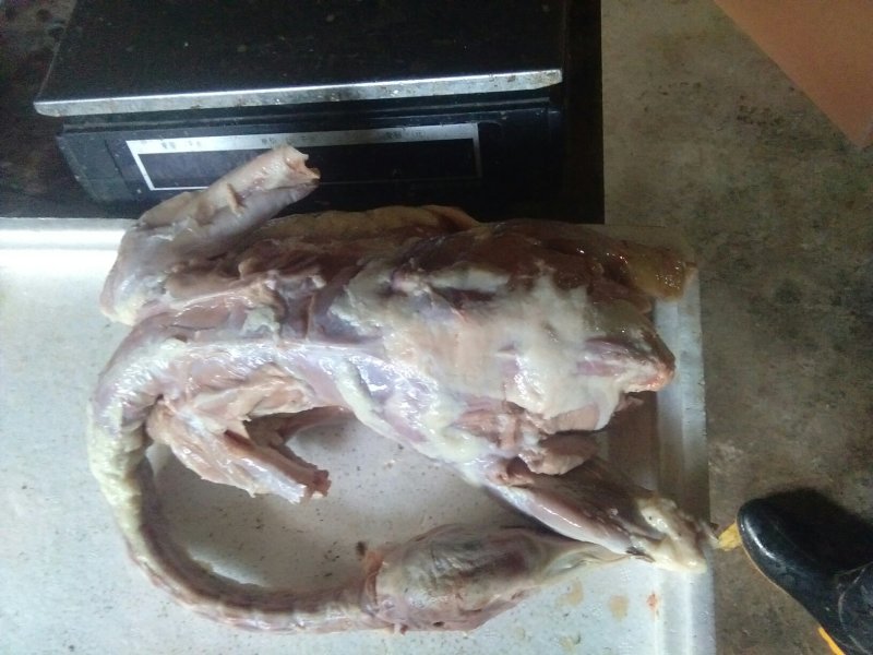 自填自养精选朗德鹅去皮鹅肉