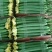 鲜花丝瓜精品长40公分左右：常年供应上货量大