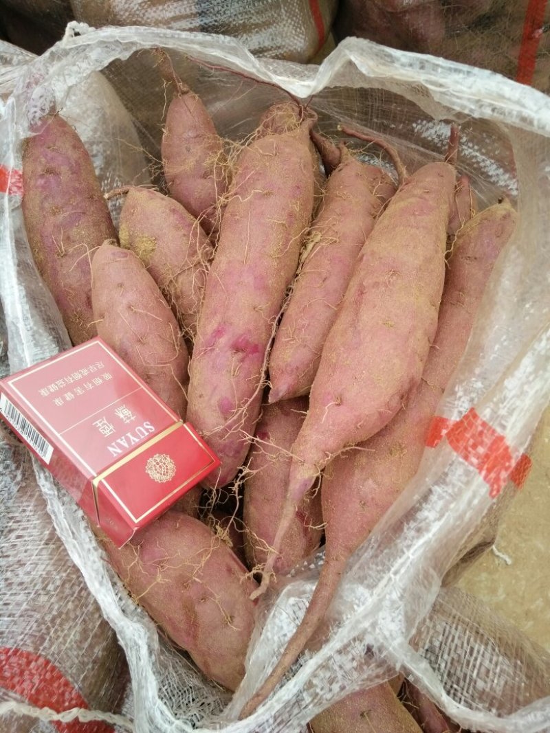 加工系列紫薯紫罗兰紫薯，凌紫，济黑1号，济黑2号，花叶紫