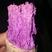 加工系列紫薯紫罗兰紫薯，凌紫，济黑1号，济黑2号，花叶紫