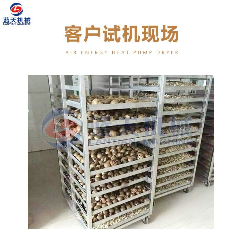 热销蓝天牌药材烘干机中药材烘干机热泵三七山药烘干机