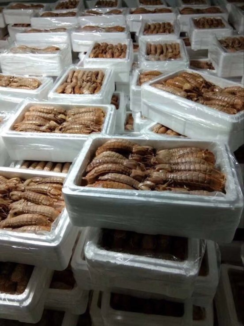 琵琶虾冻虾
