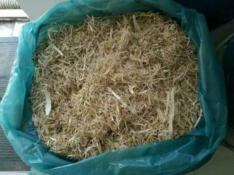牛羊饲料草
