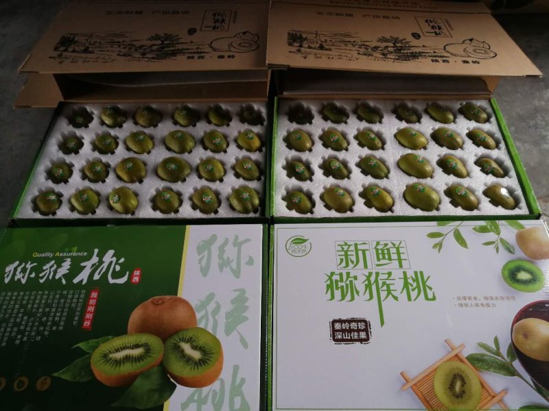 陕西周至猕猴桃