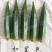 黄秋葵种子98%以上
