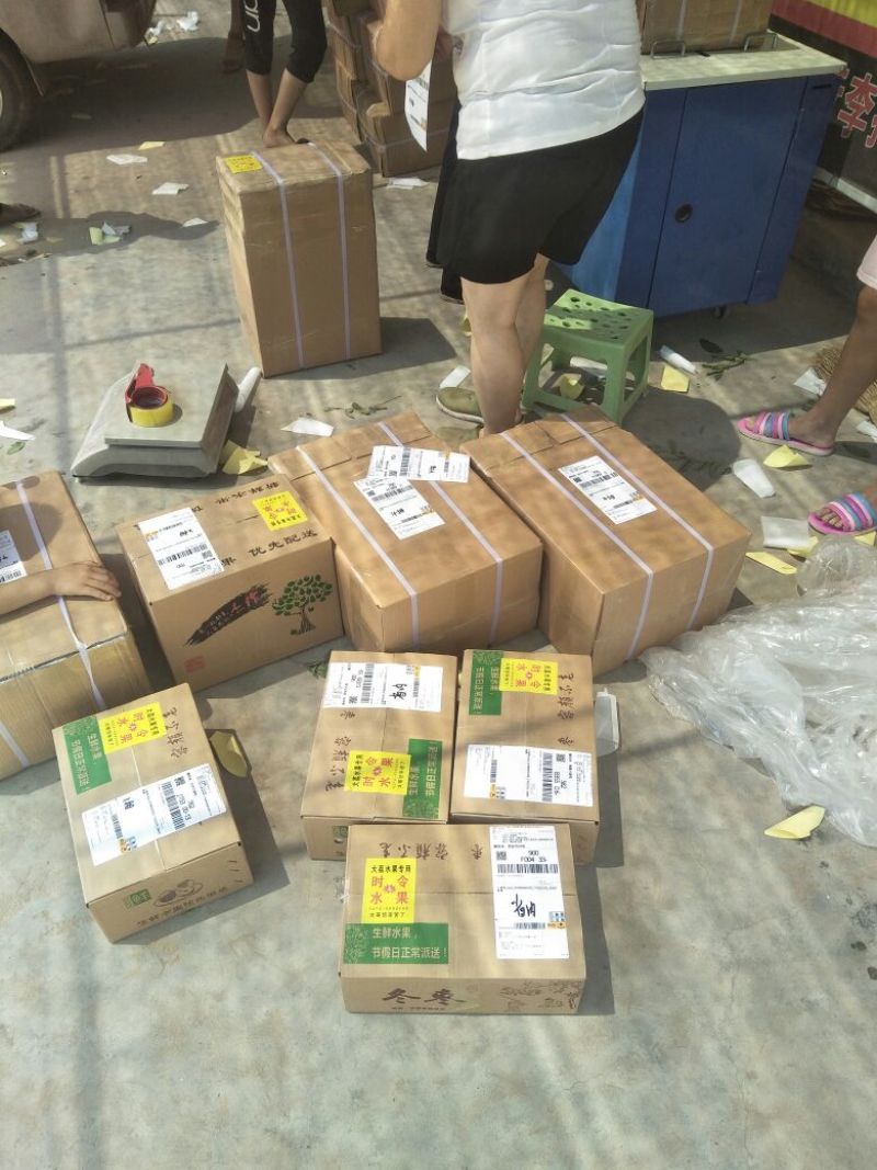 大荔冬枣有5斤20斤泡沫箱装的