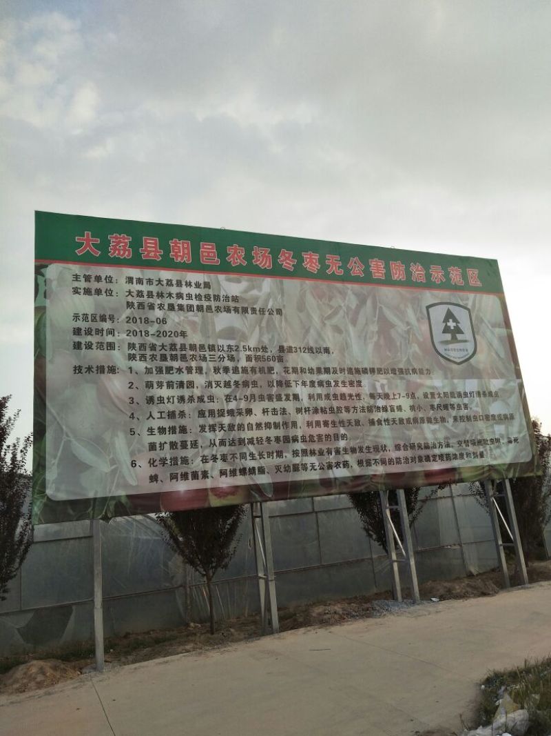 大荔冬枣有5斤20斤泡沫箱装的