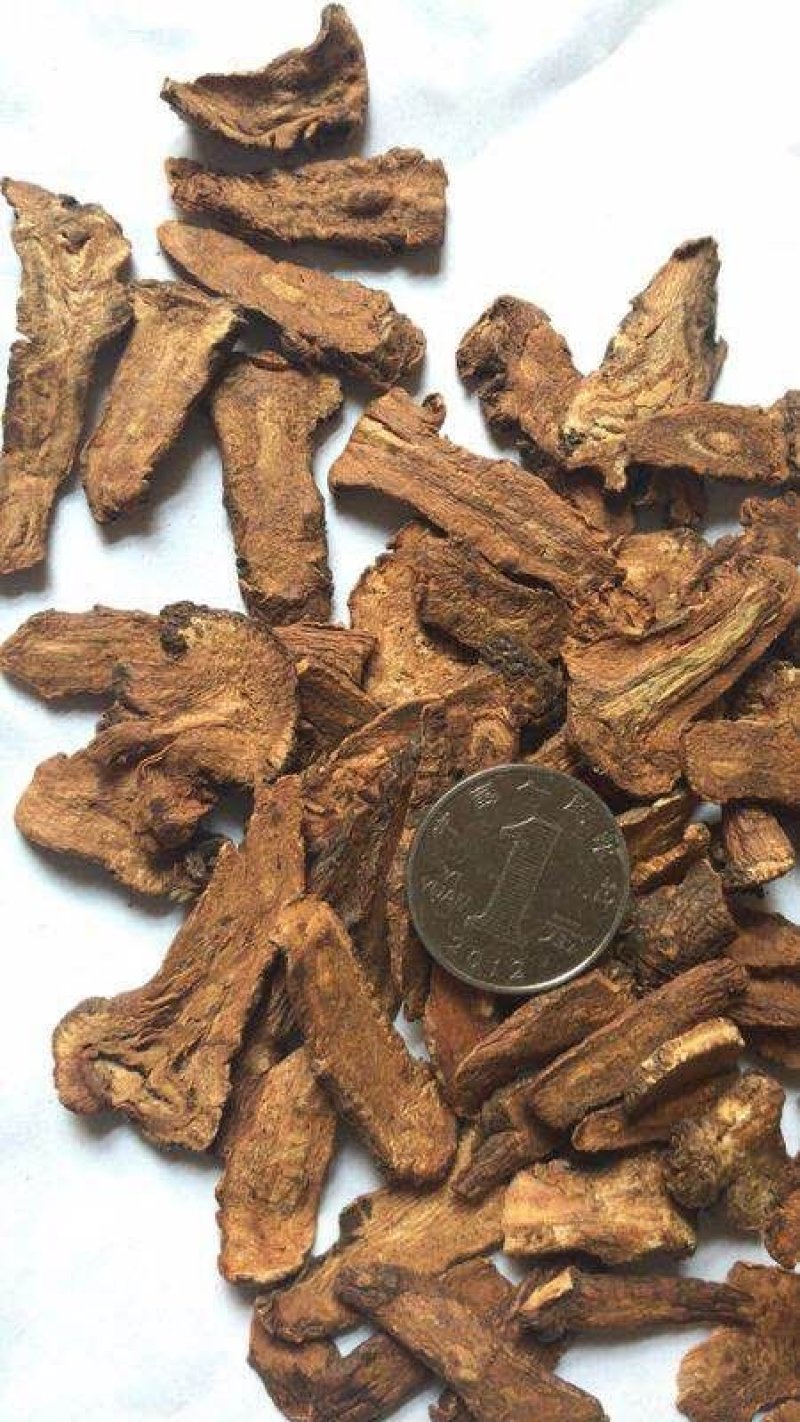 蒲公英茶
