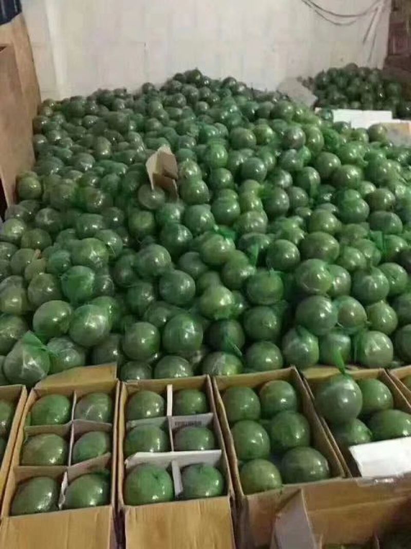 越南青柚大量到货公司直销