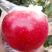 红富士苹果.膜袋.一级