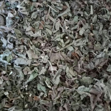 薄荷