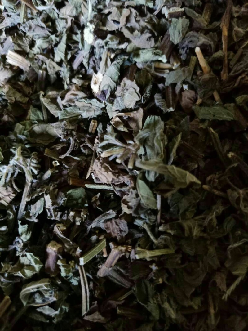 薄荷