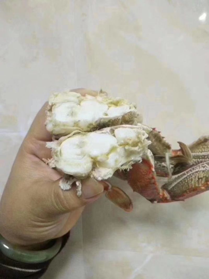 扁蟹(梭子蟹)，肉蟹，花盖蟹，石头蟹，小件试样8斤1件