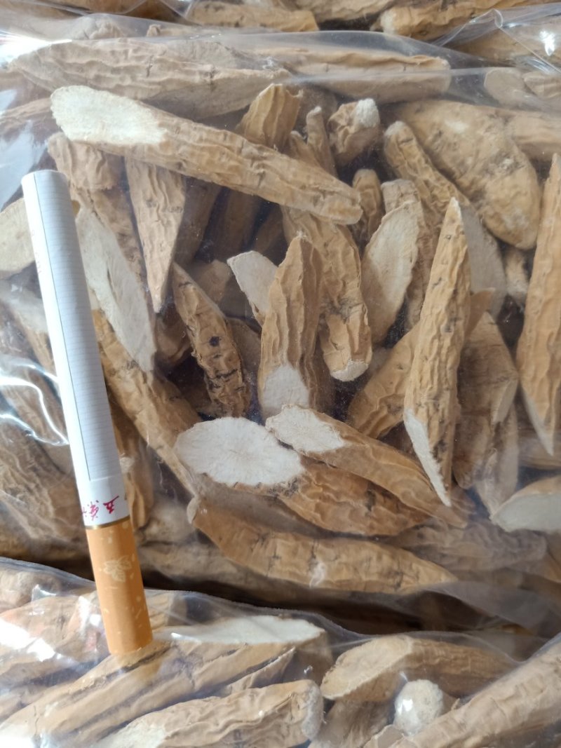 海南野生竹灵芝批发150一斤10起走