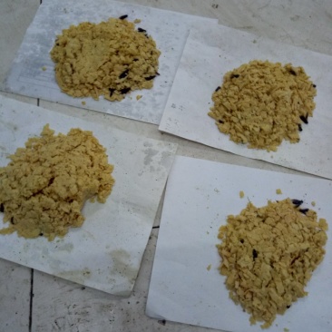 黑水虻卵，包质包量，负责技术支持！