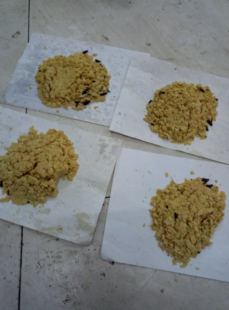 黑水虻卵，包质包量，负责技术支持！