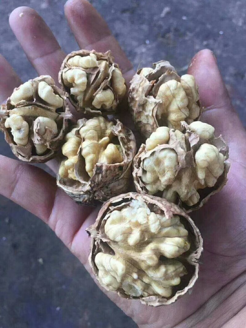 核桃