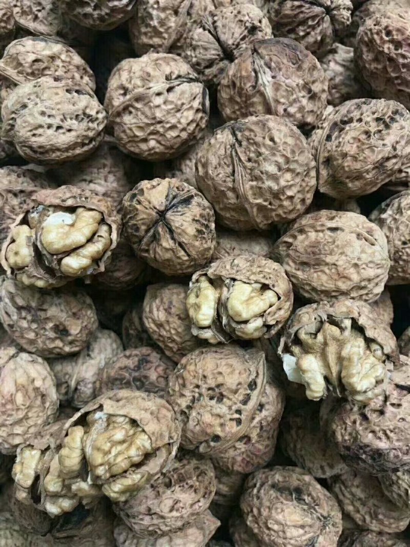 核桃