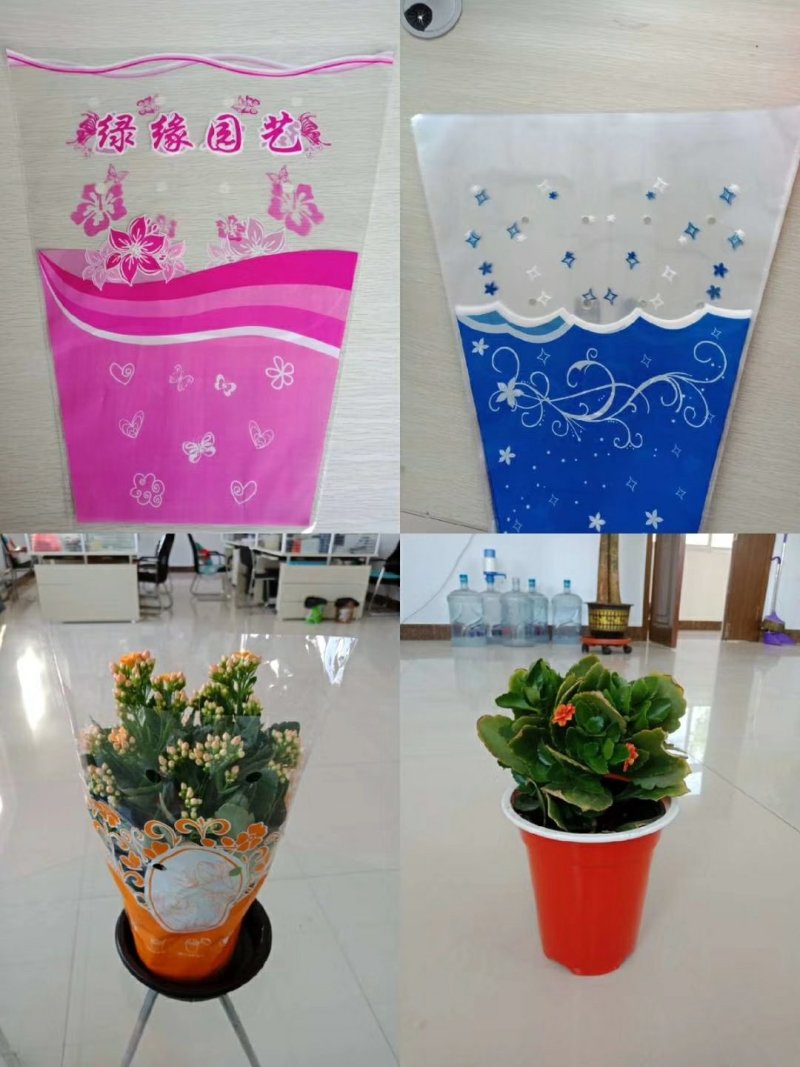 花盆
