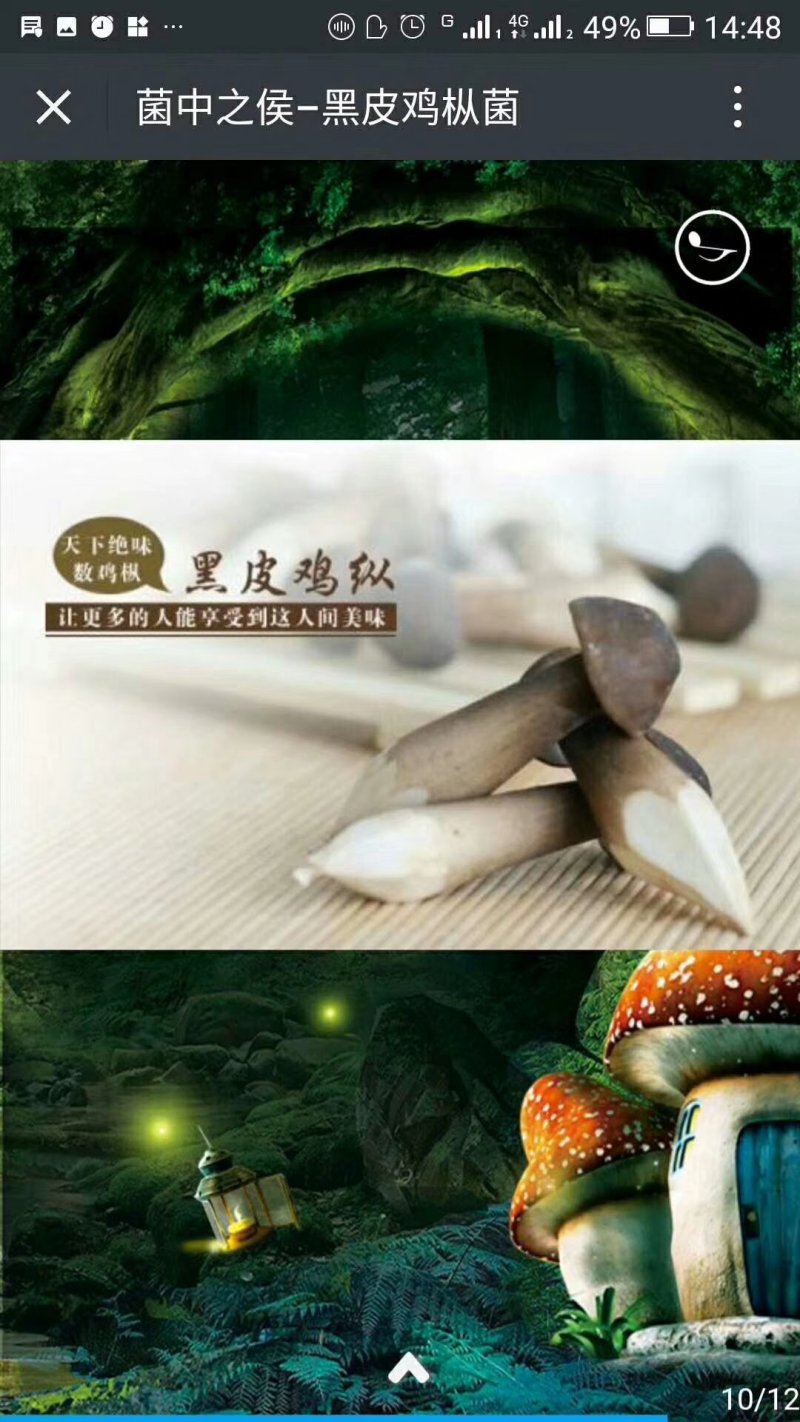 黑皮鸡枞菌，18一斤