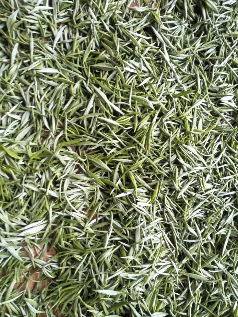 云南省临沧市凤庆县农家纯手工毛尖绿茶