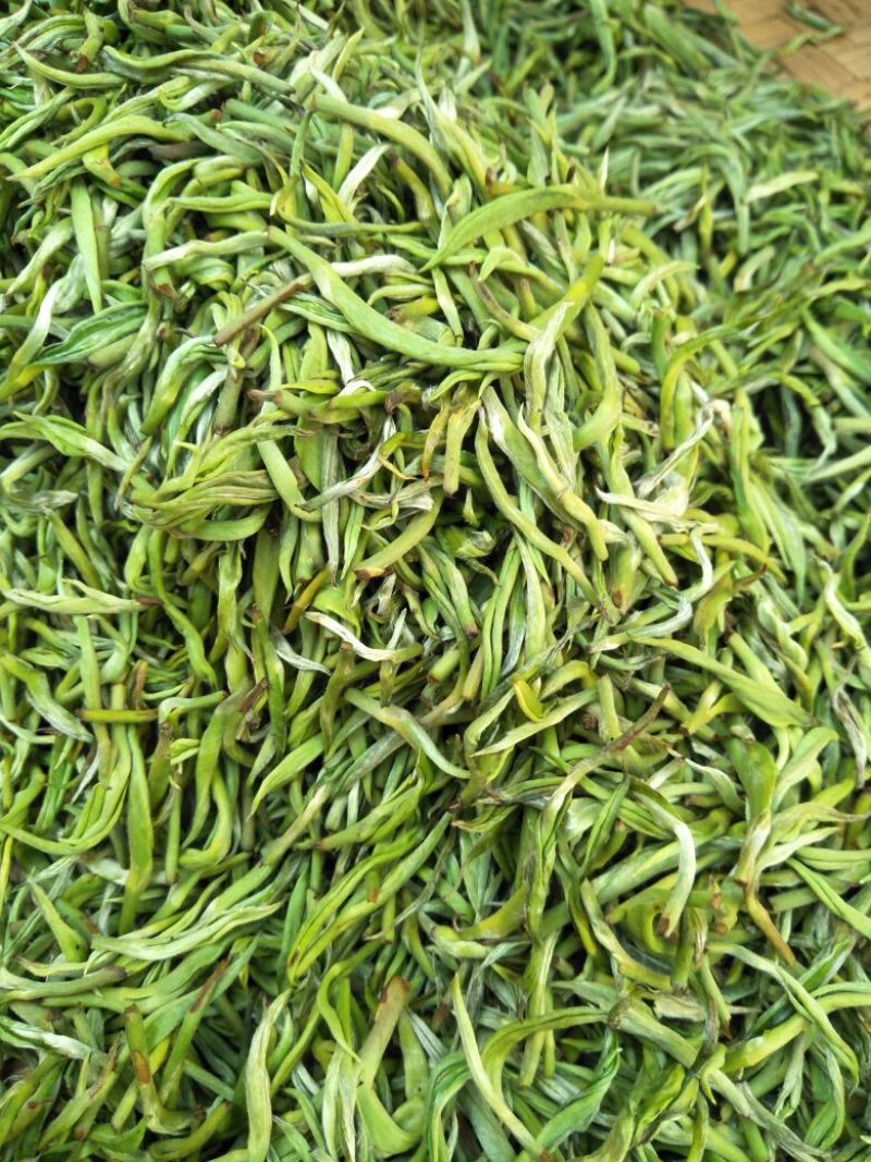 云南省临沧市凤庆县农家纯手工毛尖绿茶