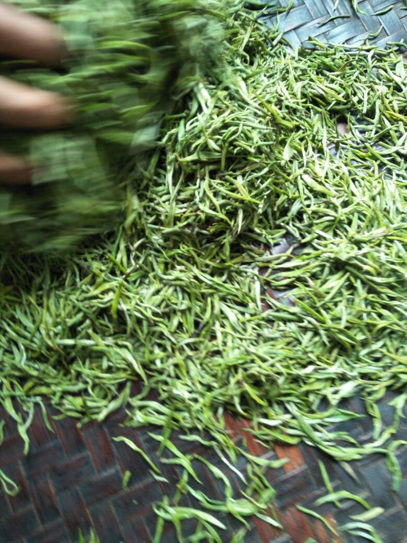 云南省临沧市凤庆县农家纯手工毛尖绿茶