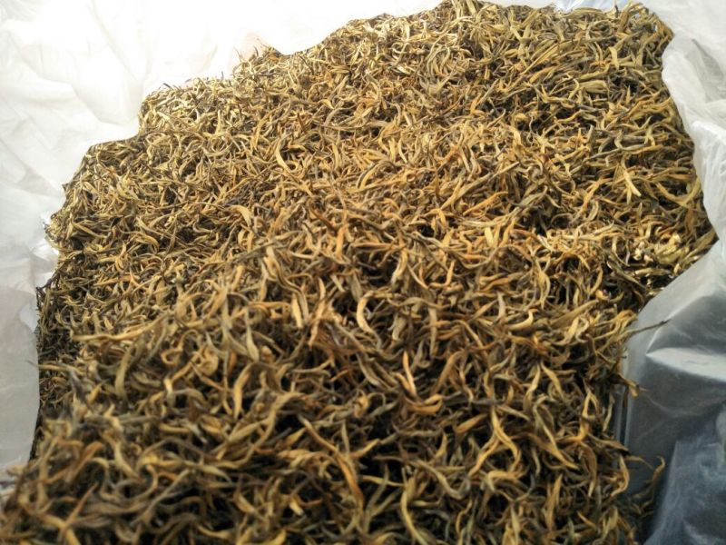 云南省临沧市凤庆县农家纯手工毛尖绿茶