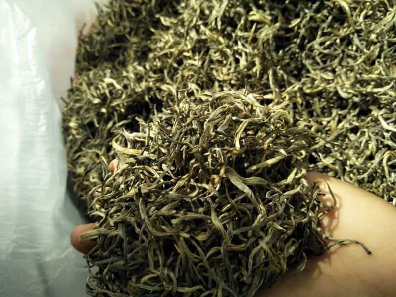云南省临沧市凤庆县农家纯手工毛尖绿茶