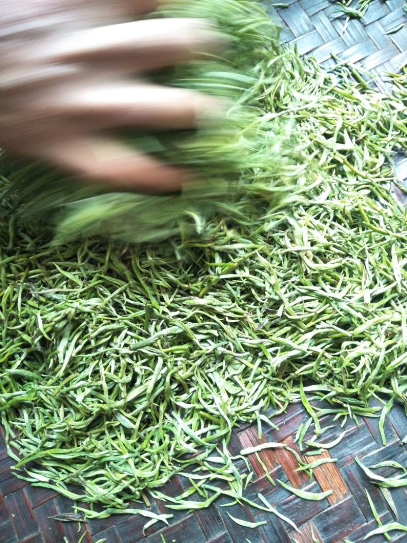 云南省临沧市凤庆县农家纯手工毛尖绿茶